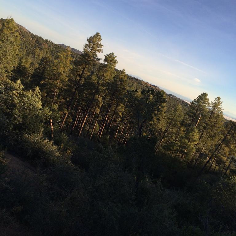 Apple Creek Cottages Prescott Bagian luar foto